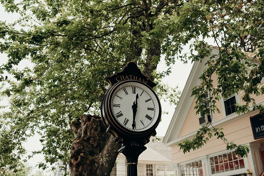 clock, summer, trees, green, black, white, time, low angle view HD wallpaper