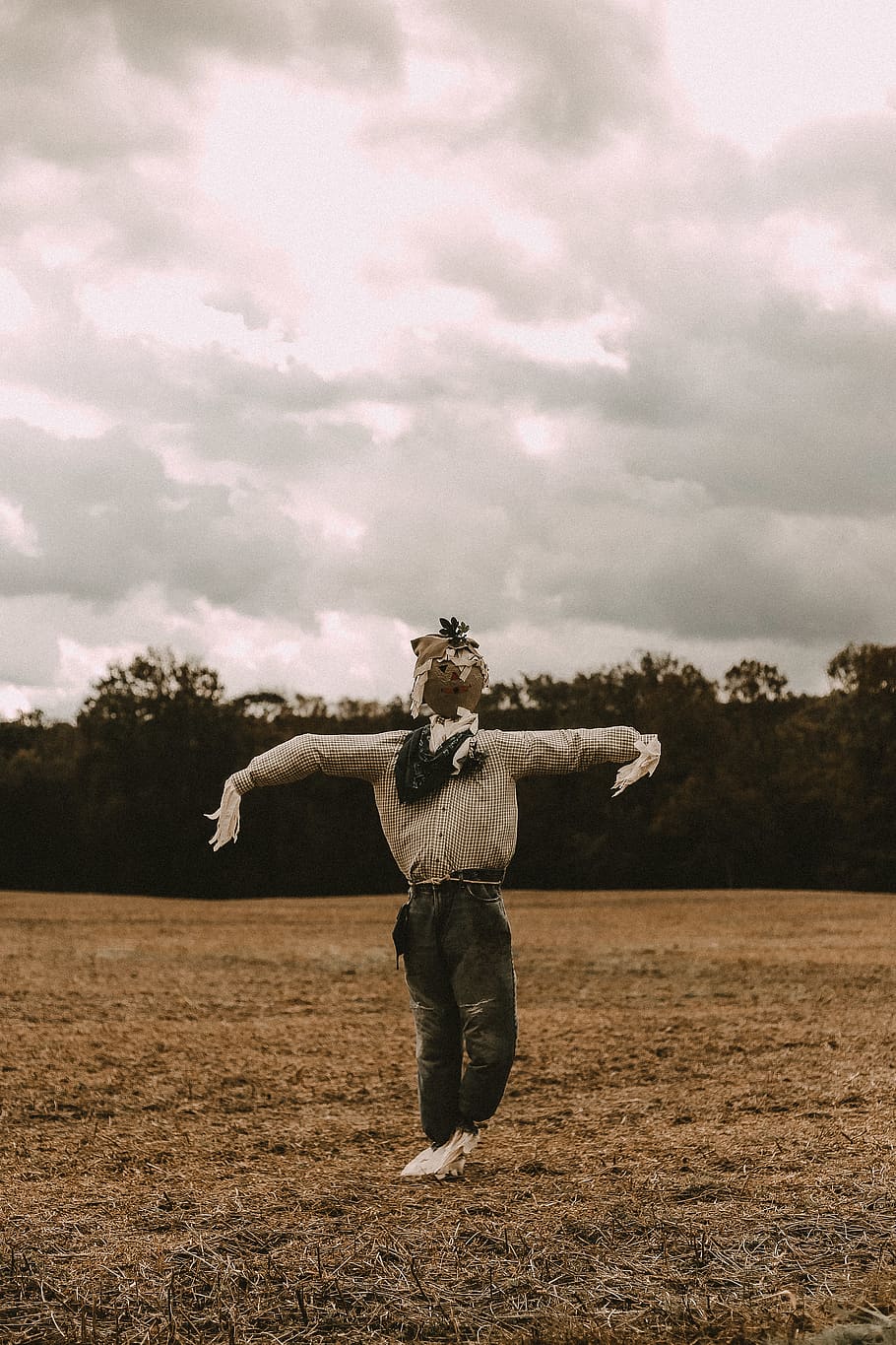 scarecrow on grass field, human, person, halloween, tree, countryside HD wallpaper