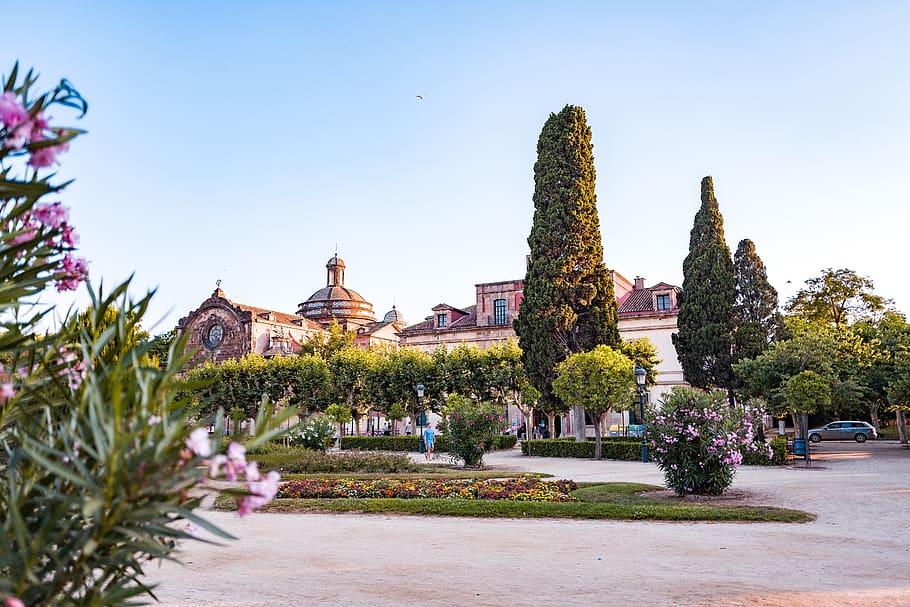 barcelona, spain, trees, summer, architecture, garden, plant HD wallpaper