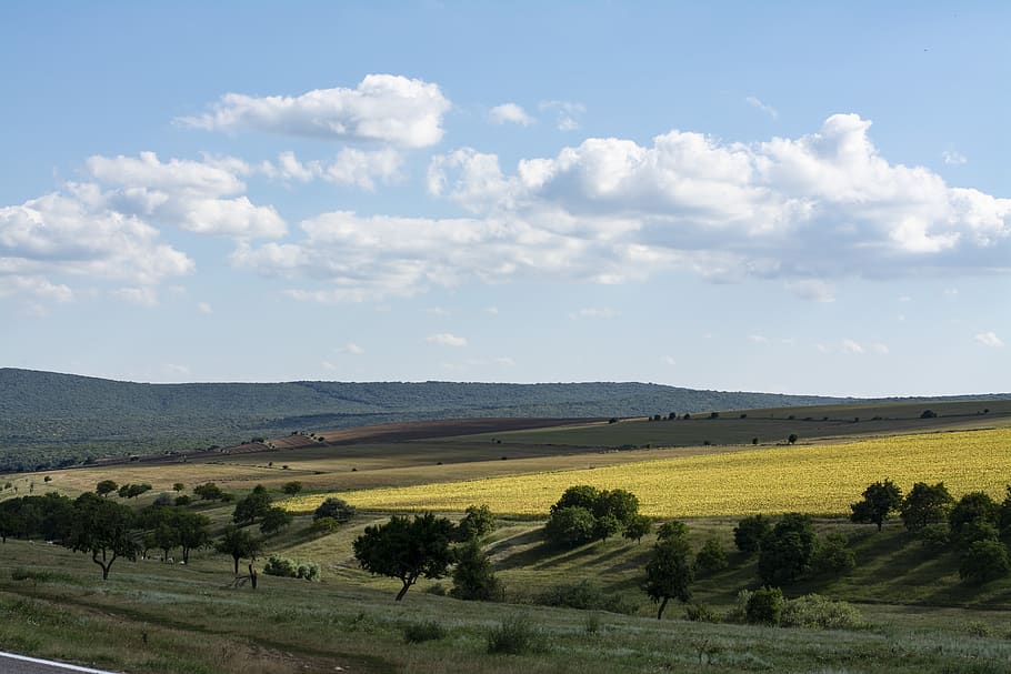 landscape, nature, cloud, trees, hills, sky, environment, beauty in nature HD wallpaper