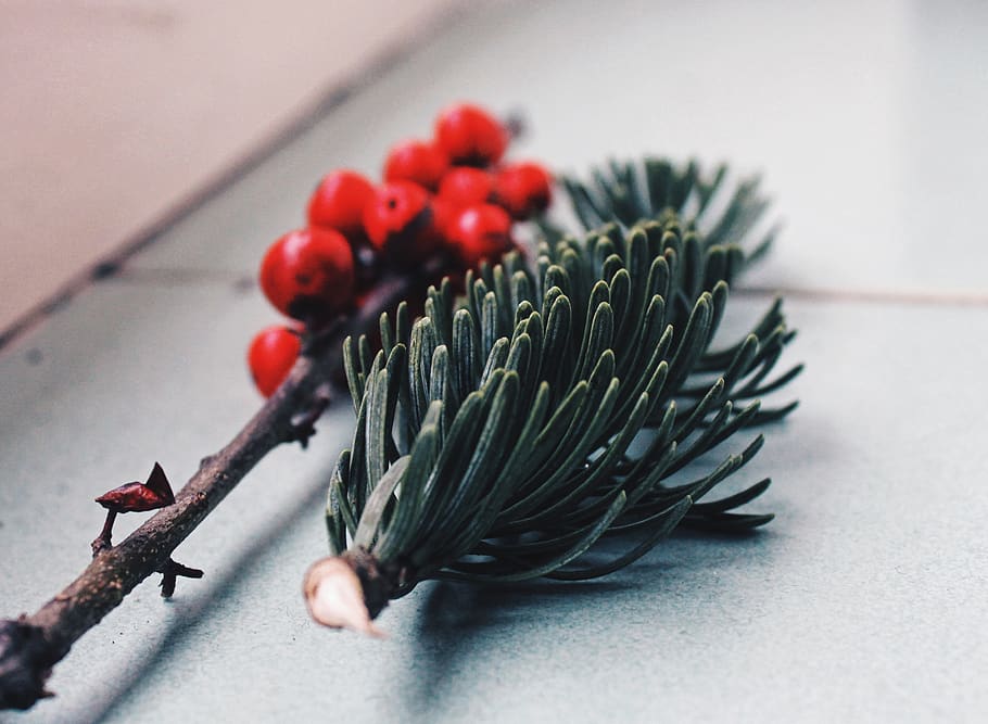december, winter, christmas, close-up, food, food and drink HD wallpaper