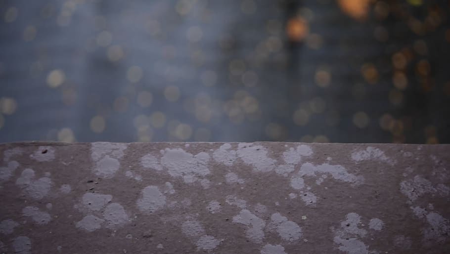 background, wallpaper, hdwallpaper, rain, nature, window sill HD wallpaper