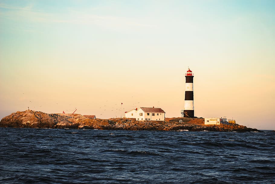 lighthouse, sunset, birds, island, water, shore, colorful, built structure HD wallpaper
