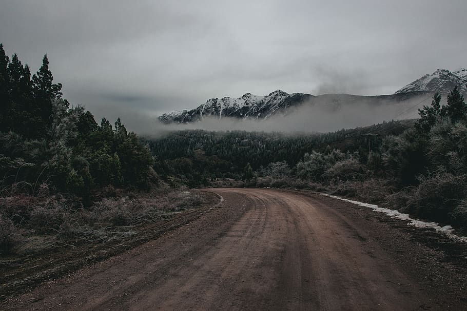 trees, forest, mountains, route, rute, wood, winter, autumn HD wallpaper