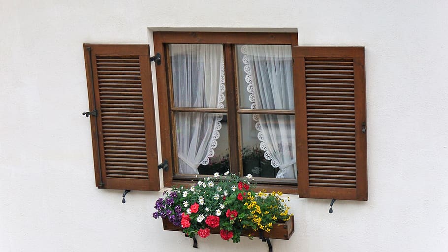 window, windows, flowers, alps, hiking, beautiful, outdoor HD wallpaper
