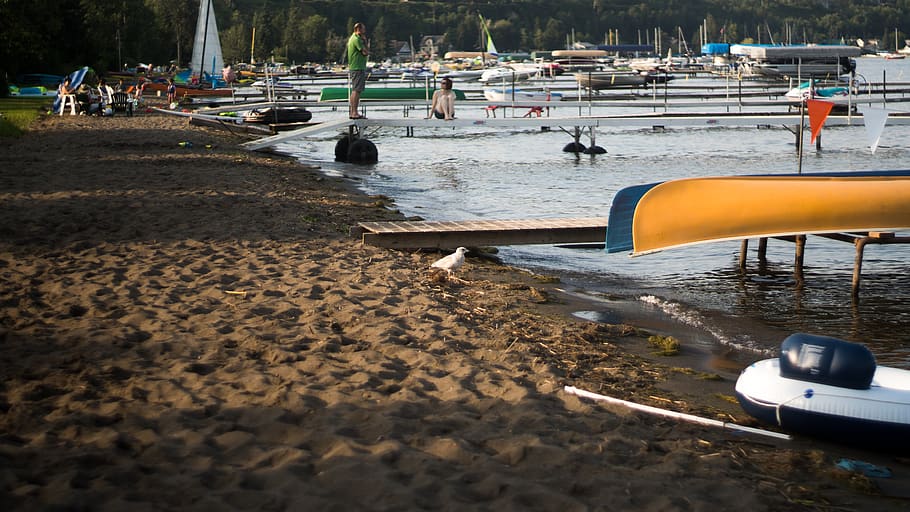 beach, summer, seagull, canoe, water, nautical vessel, transportation HD wallpaper