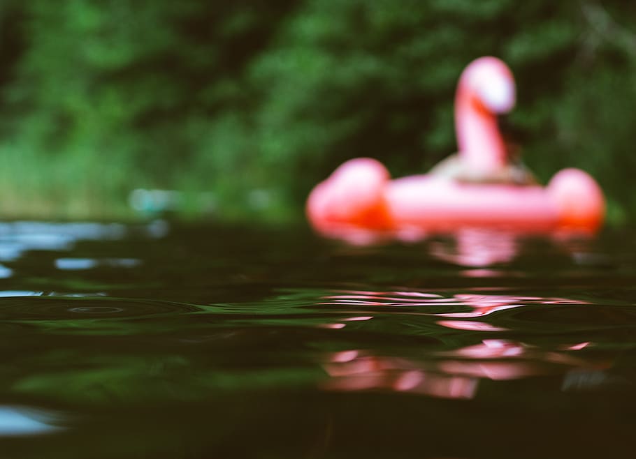 water, waterfront, reflection, selective focus, rippled, nature HD wallpaper