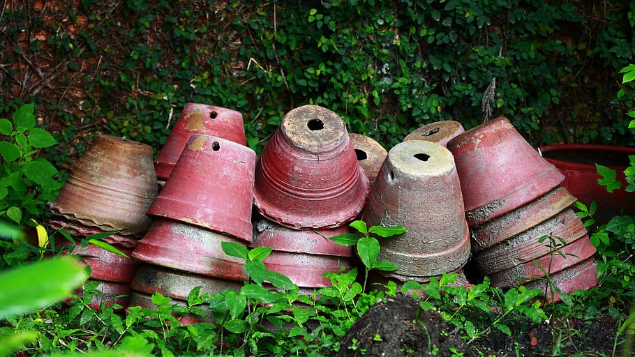nepal, kathmandu, plant, no people, old, day, rusty, metal HD wallpaper
