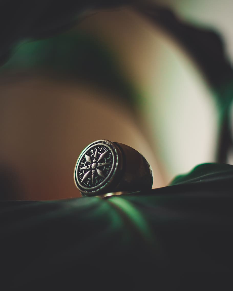 green, plant, ring, close-up, finance, indoors, selective focus HD wallpaper