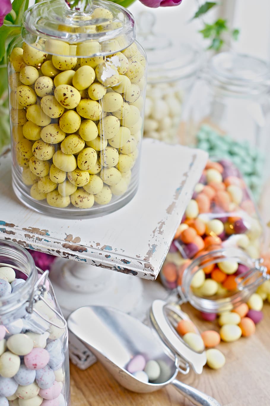 candies inside jar, plant, food, confectionery, sweets, vase HD wallpaper