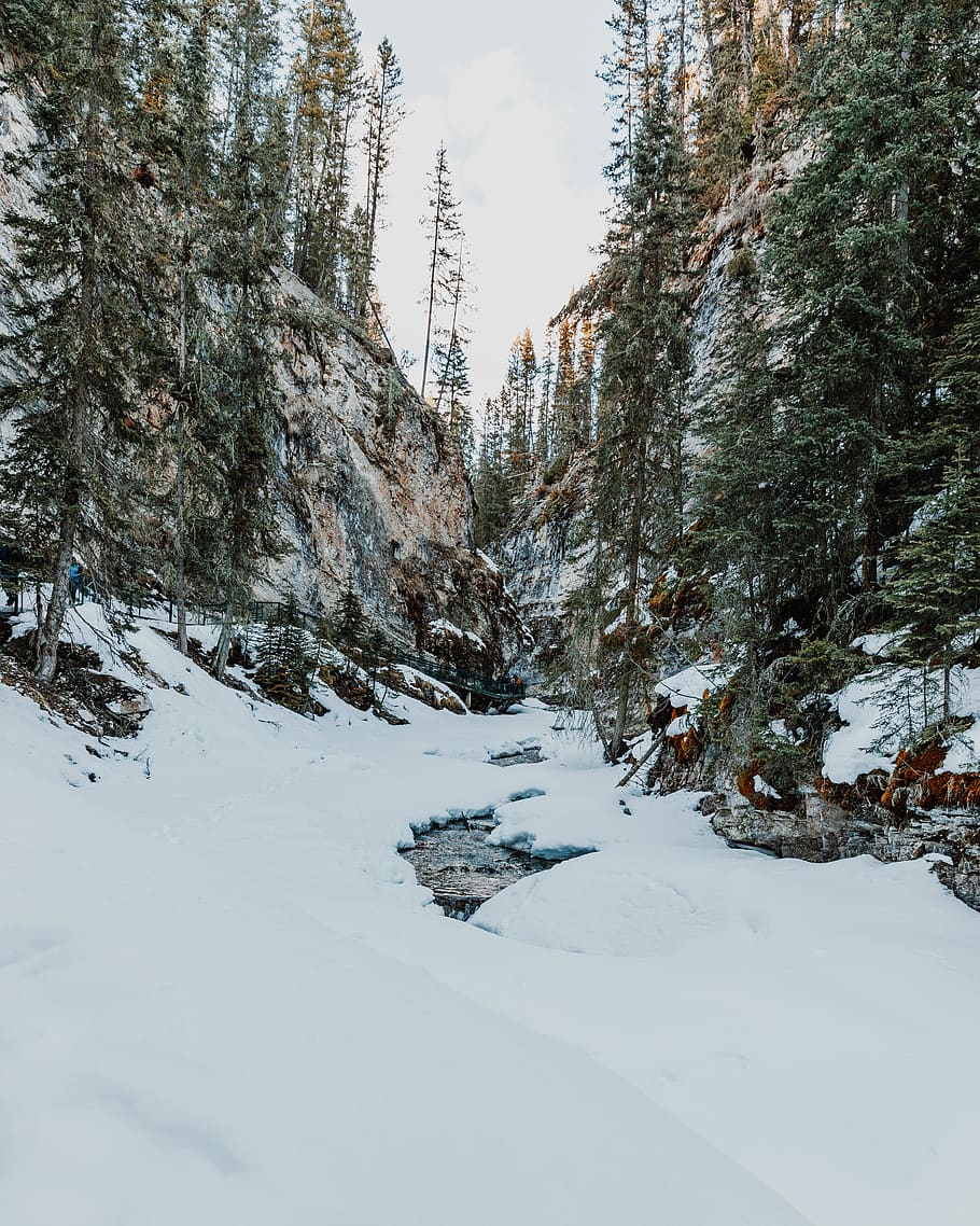 river between trees under rock formation, cold temperature, winter HD wallpaper