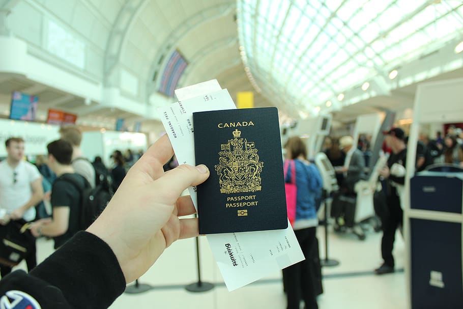 person holding Canada passport, text, human, book, id cards, document