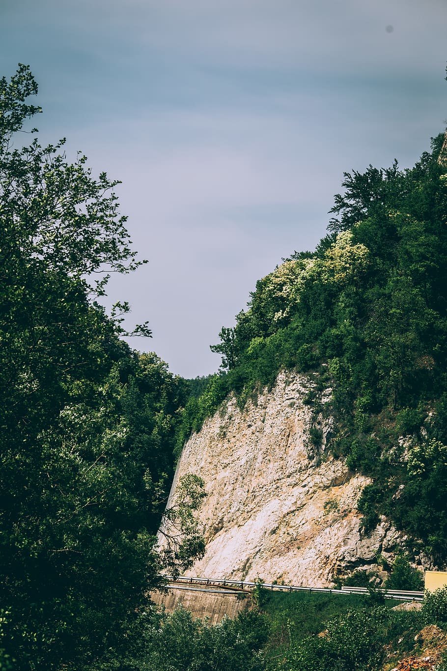 nature, outdoors, cliff, tree, plant, road, landscape, vegetation HD wallpaper
