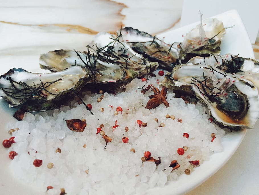oysters on ceramic plate, food, food and drink, seafood, close-up HD wallpaper