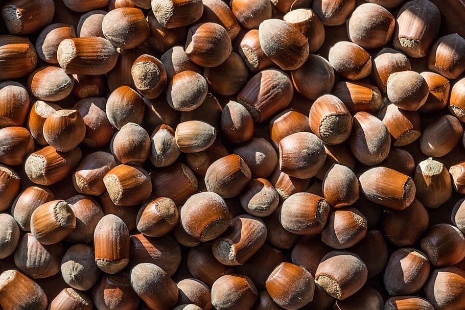 Plenty of Nuts, batch, close-up, dry, food, pattern, pile, texture HD wallpaper