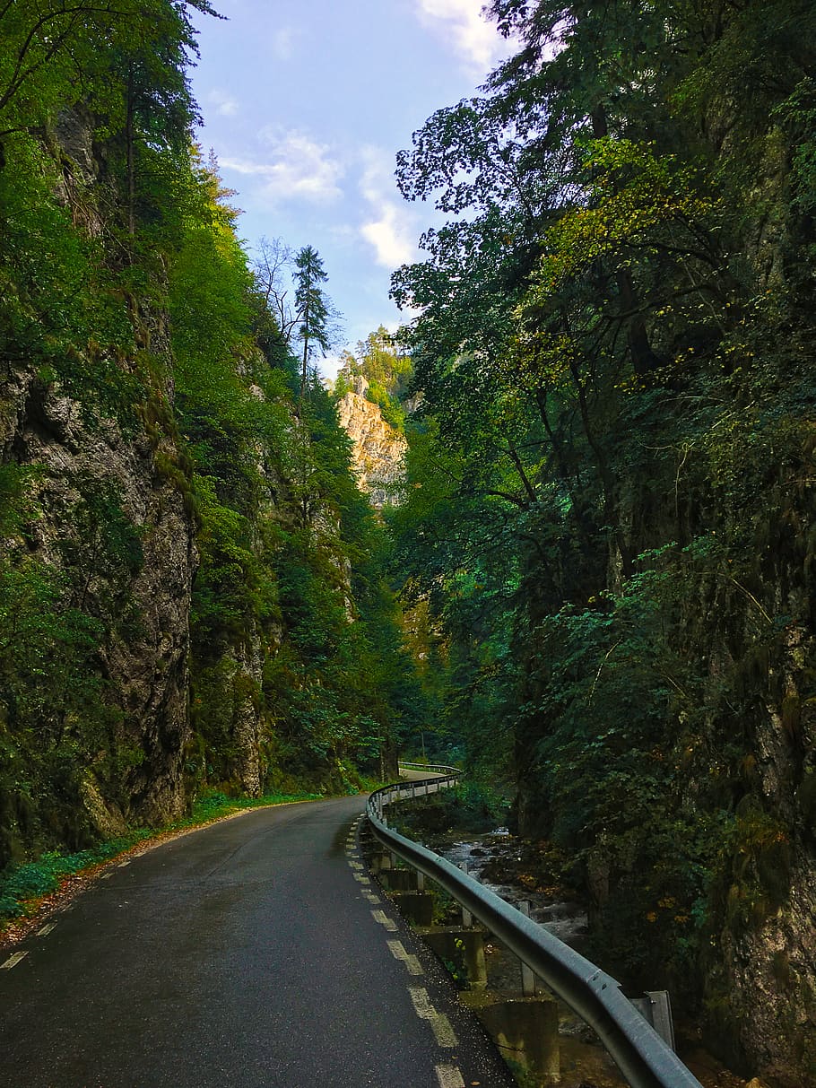 Magic roads. Дорога в джунглях.