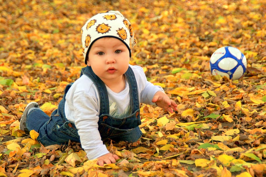cute, kid, autumn, fall, nature, leaf, fallen, human, activity HD wallpaper
