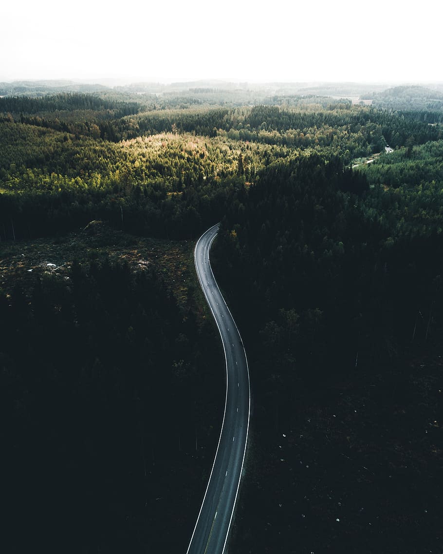 aerial photography of road, drone view, tree, forest, woodland HD wallpaper