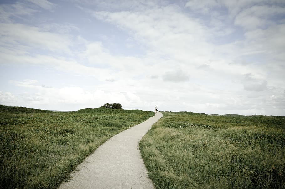 fisherman, path, beach, green, shrub, sky, track, grass, the way forward HD wallpaper