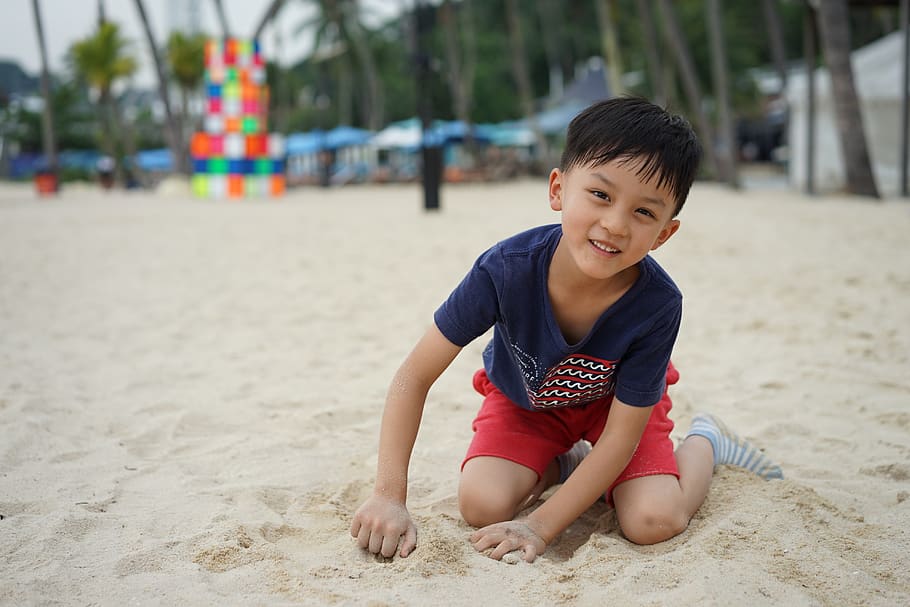 child, sha, beach, pleasure, summer, play sand, boy, smile, HD wallpaper