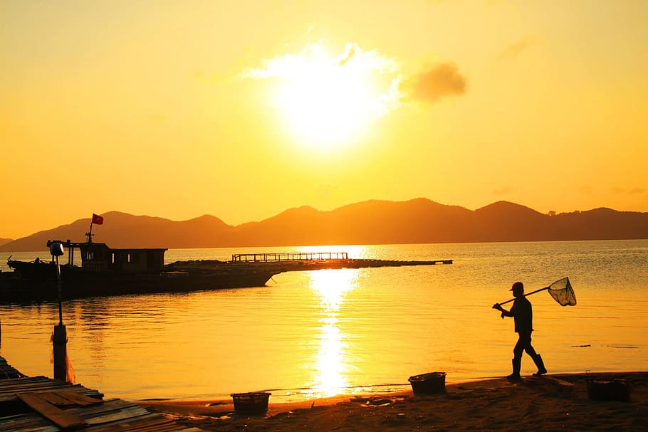 sunset, water, sky, beauty in nature, orange color, silhouette HD wallpaper