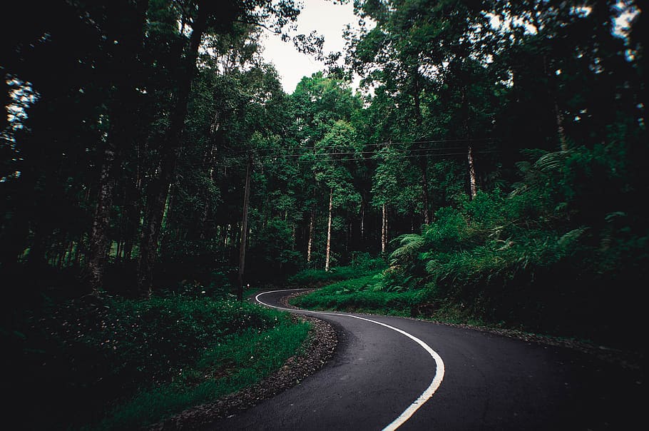 indonesia, balegede, tree, plant, road, direction, transportation HD wallpaper