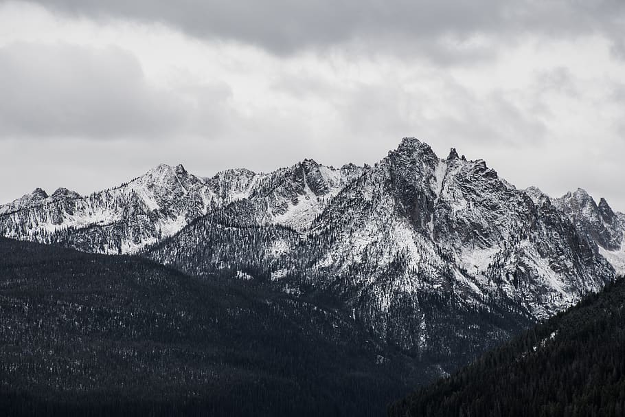 Green Trees on Mountain, altitude, black and white, clouds, cold HD wallpaper