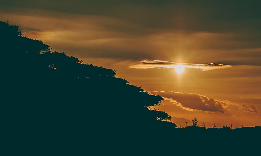 Silhouette Photography of Forest during Golden Hour, clouds, dark HD wallpaper