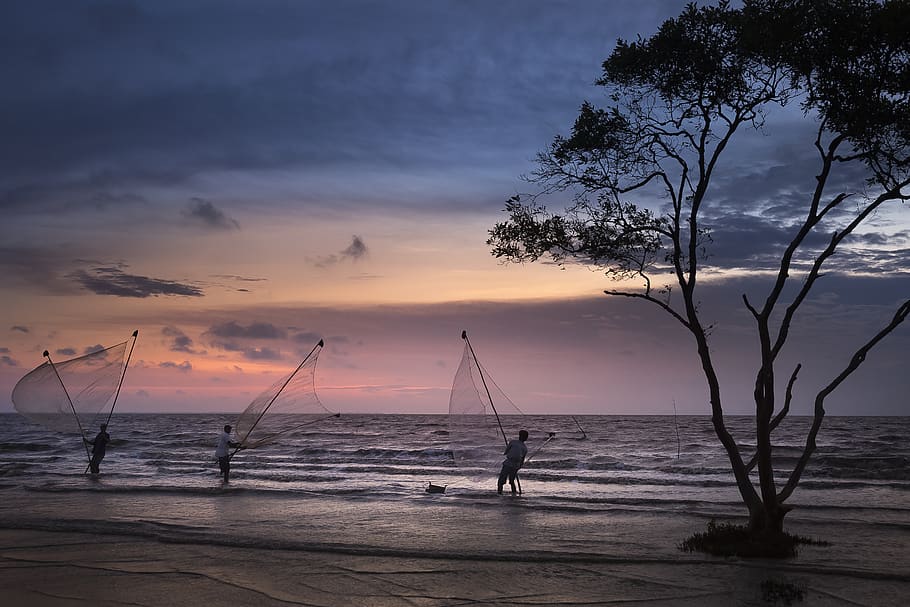 Three Fishermen fishing during Sunset, beach, dawn, dusk, evening HD wallpaper