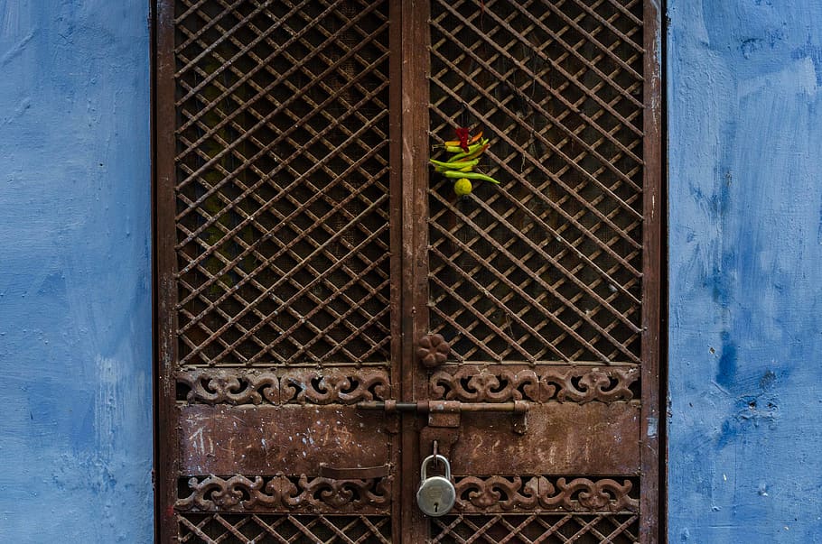 jodhpur, india, door, superstition, lemon, chilli, rust, rajasthan, HD wallpaper