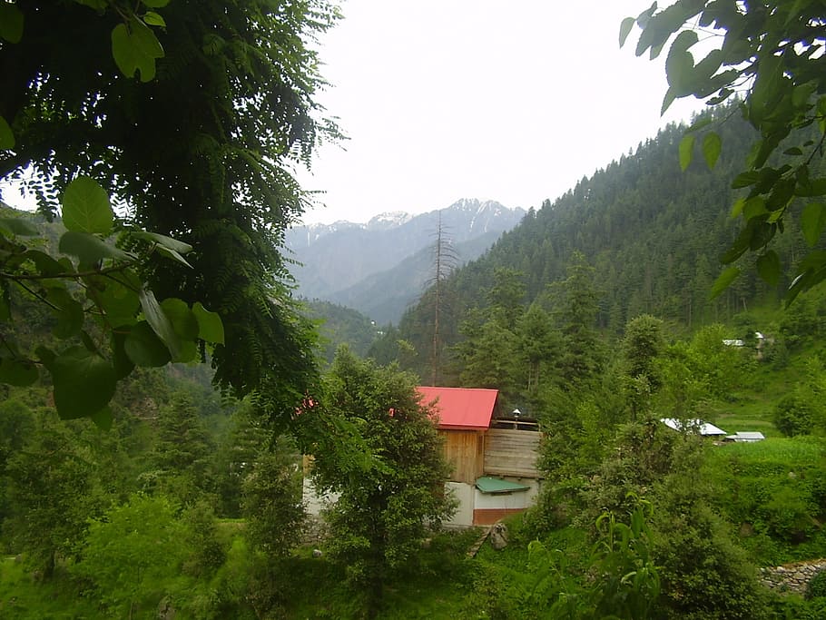 forest, mountain, hill, valley, mountain range, village, green HD wallpaper