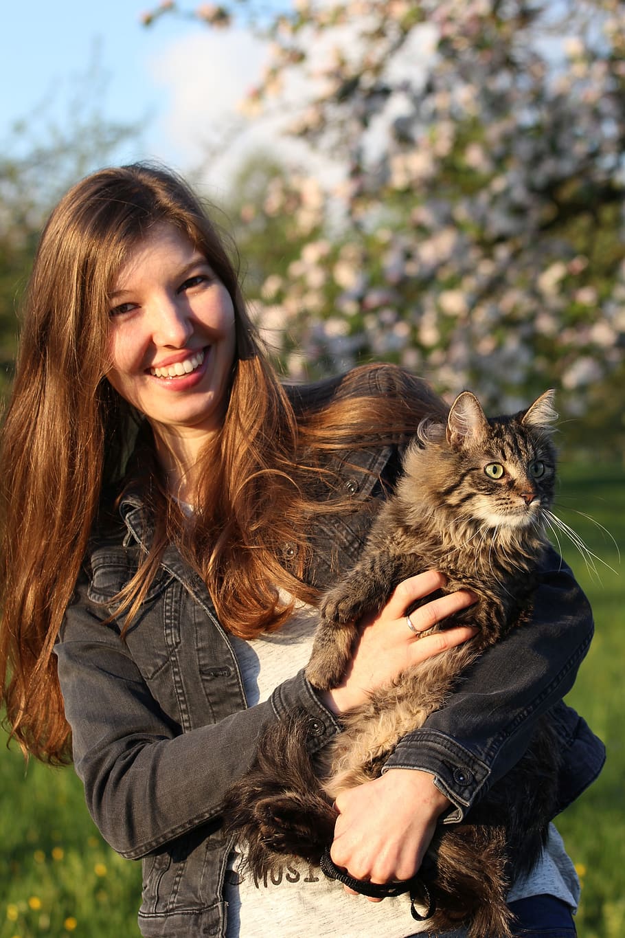 portrait, young, smile, happy, cat, face, human, young woman
