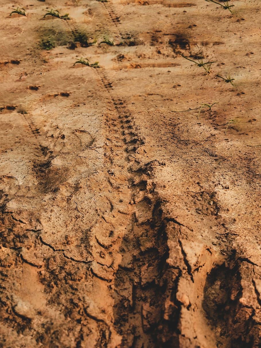 dirt, land, mud, no people, nature, day, environment, scenics - nature HD wallpaper