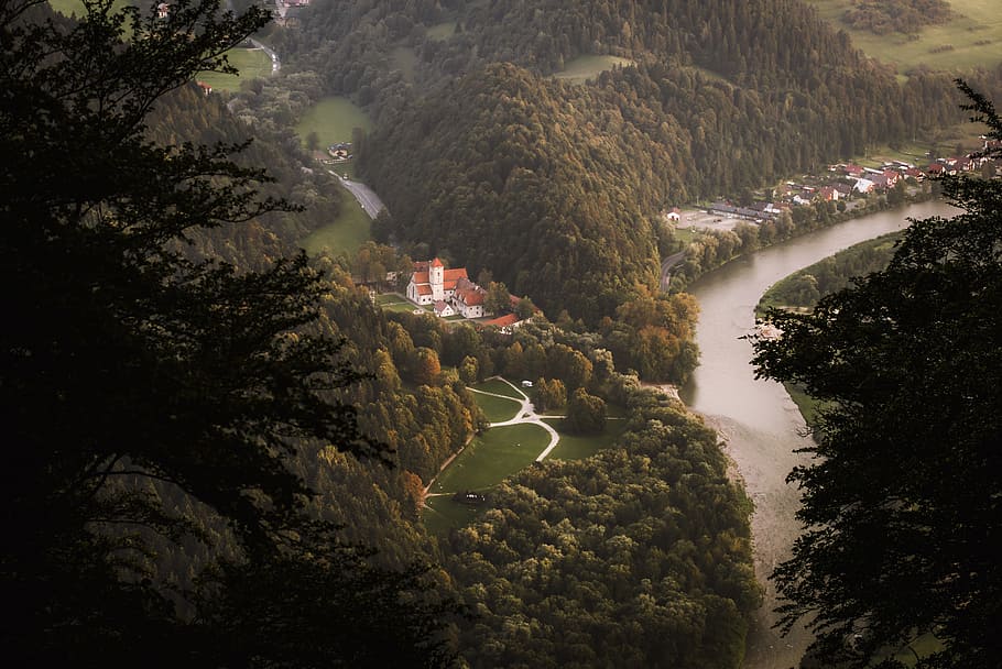 town next to river, tree, countryside, house, village, forest HD wallpaper