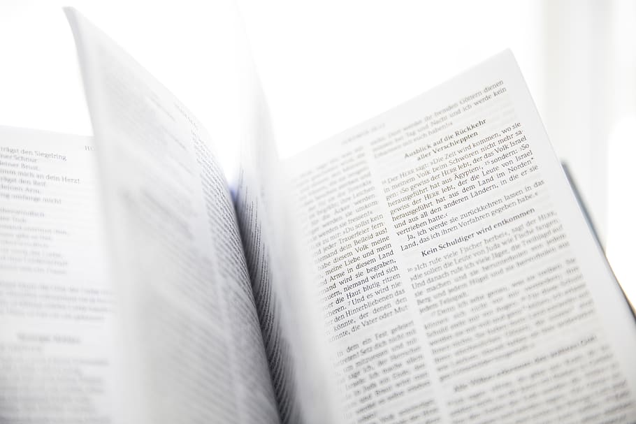 Focus Photo of Open Book, bible, blurred background, book pages