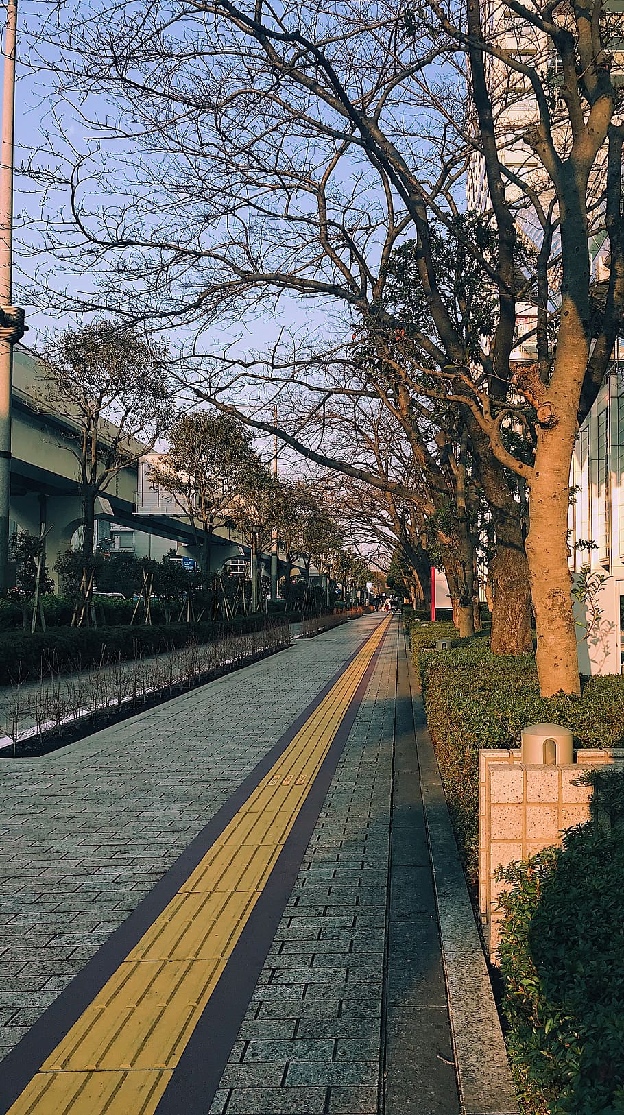 path, walkway, pavement, sidewalk, tree, vehicle, transportation HD wallpaper