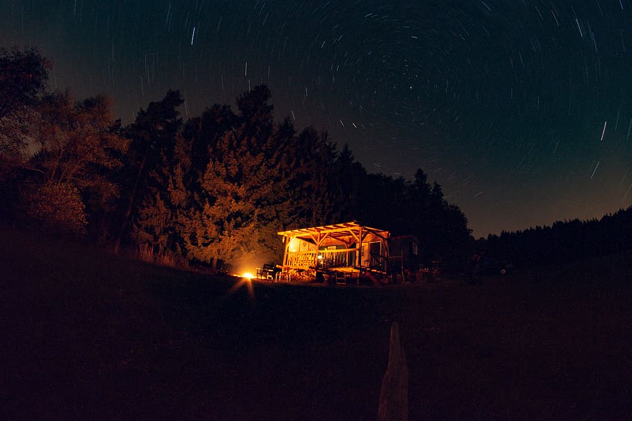 trees and brown house, nature, outdoors, night, universe, outer space HD wallpaper