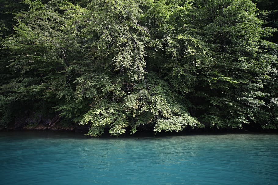 Wide Angle Photo of Body of Water, blue, daylight, environment HD wallpaper