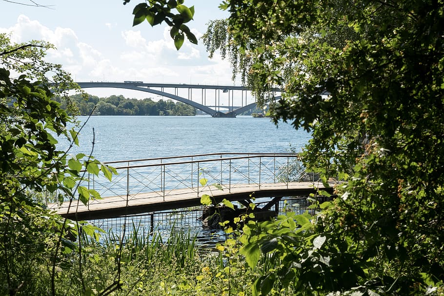 sweden, stockholm, sommer, summer, trees, color, green, water, HD wallpaper
