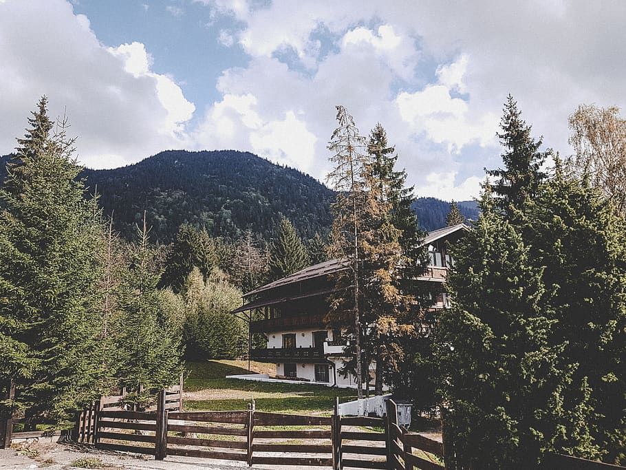Brown Wooden House, clouds, daylight, evergreen, forest, grass HD wallpaper