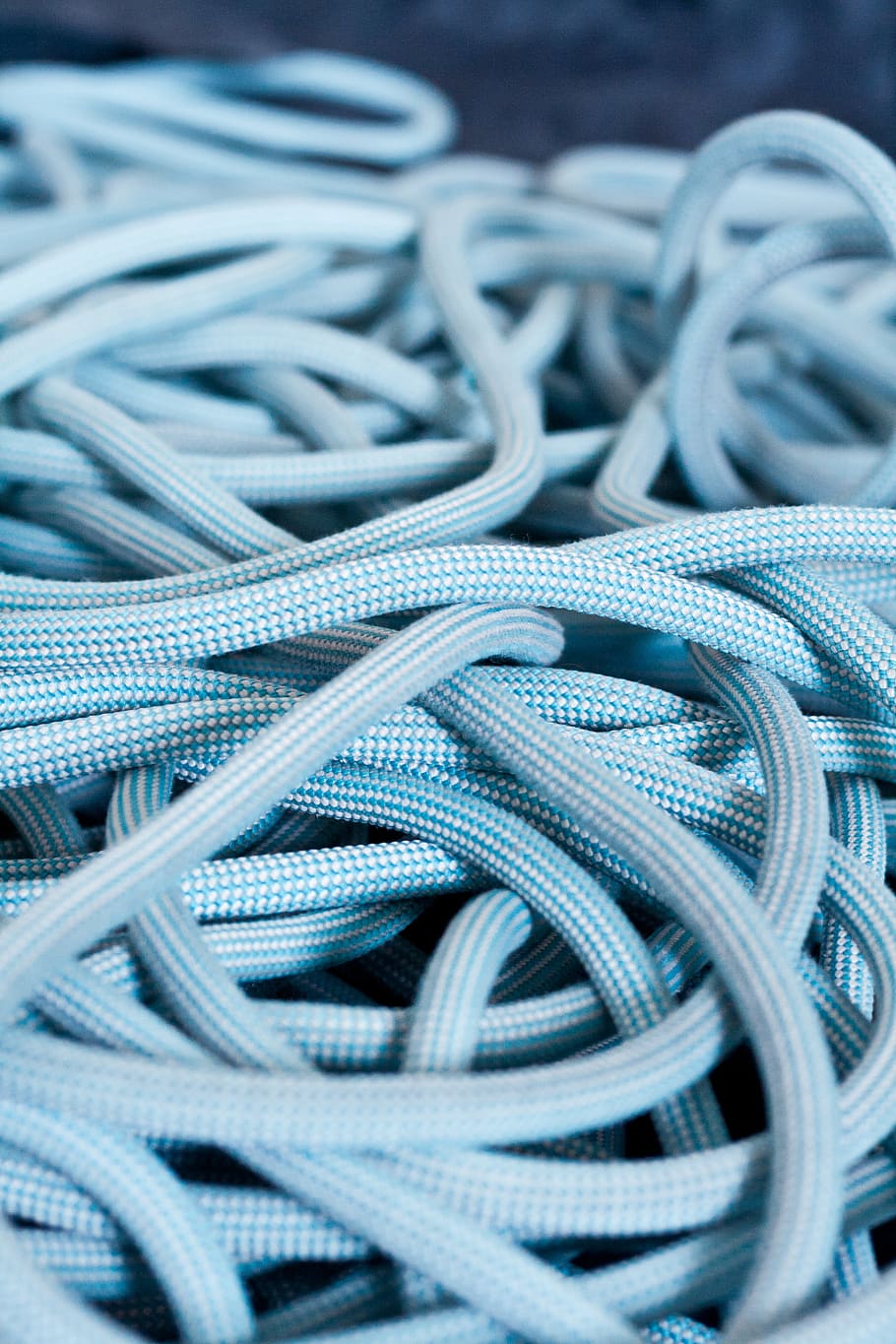 Blue Lace, bundle, climbing, close-up, color, connect, connection