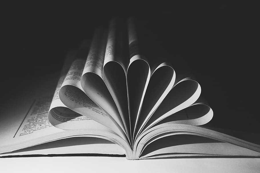leaf, symbol, book, open, torsion, black and white, reading HD wallpaper