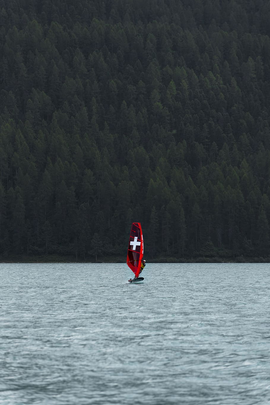 swiss flag, windsurf, tree, lake, forest, person, windsurfer, HD wallpaper