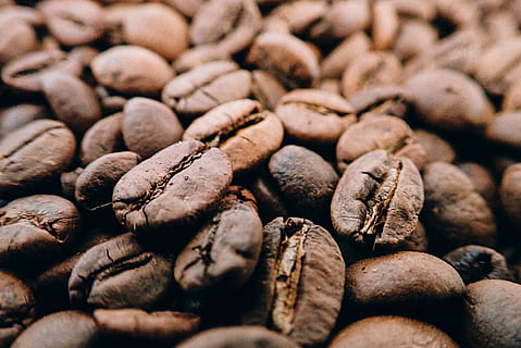 Brown Beans, aromatic, caffeine, close-up, coffee beans, crops HD wallpaper