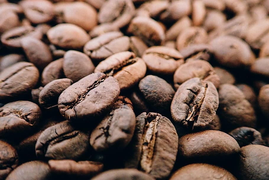 Brown Beans, aromatic, caffeine, close-up, coffee beans, crops HD wallpaper