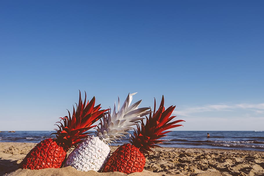 pineapple, dessert, appetizer, fruit, juice, crop, beach, ocean HD wallpaper