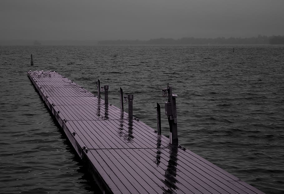 canada, perth, lake, forest, quebec, montreal, ontario, spooky HD wallpaper