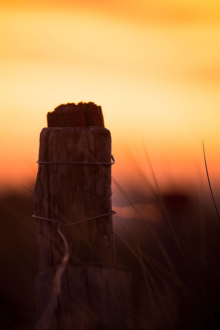 sunset, red, yellow, sea, bretagne, sunray, orange, orange sun HD wallpaper