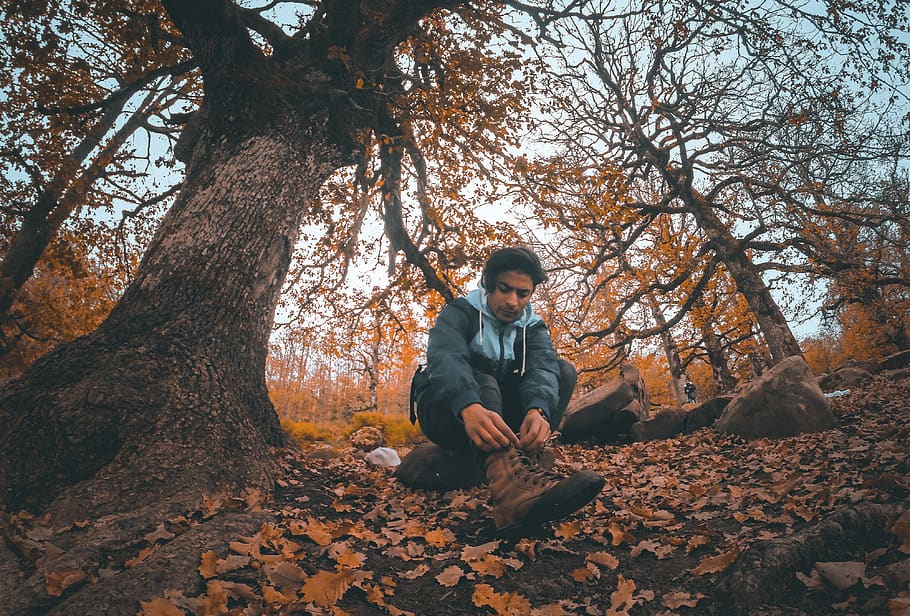 plant, tree, tree trunk, ground, human, person, nature, leaf HD wallpaper