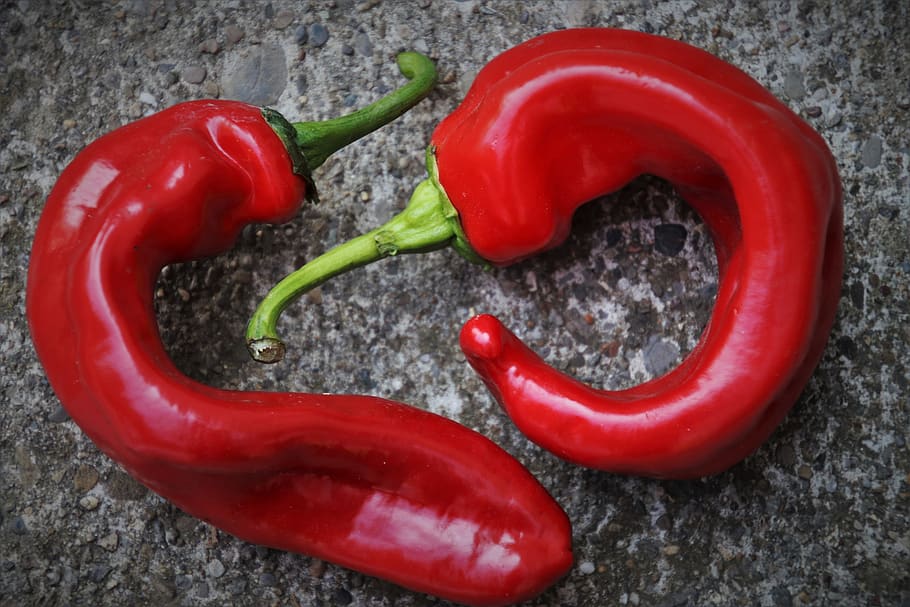 red pepper, para, components, eat, food, vegetables, bio, paprika HD wallpaper